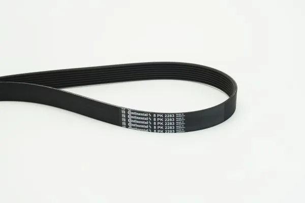 V-ribbed Belt
